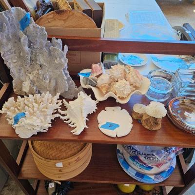 Natural coral