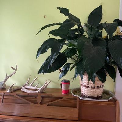 Estate Sales By Olga in Somerville, NJ