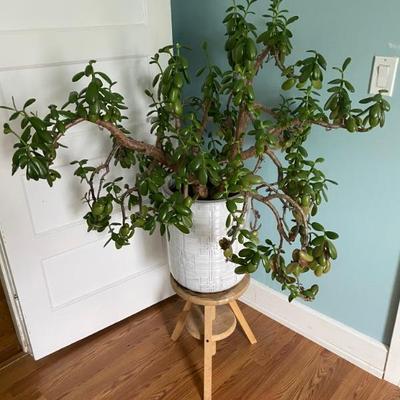 Estate Sales By Olga in Somerville, NJ