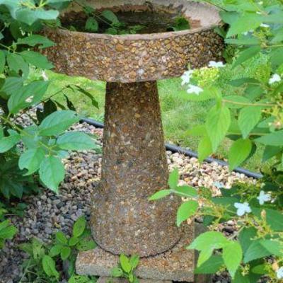Bird Bath