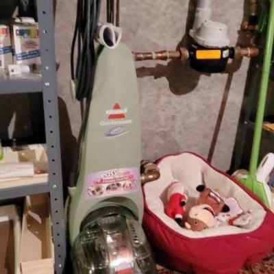 Carpet Cleaner and Dog Toys