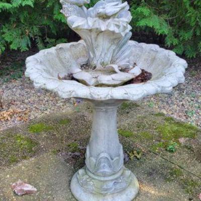 Bird Bath