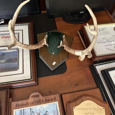 Antlers are in the main office