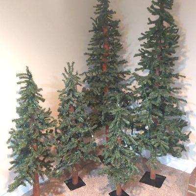 Pine Trees Set of 5 Graduating Sizes