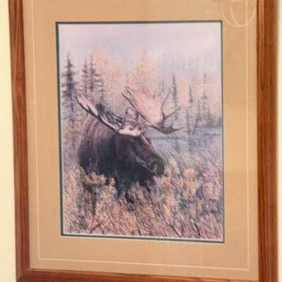 Moose Print
