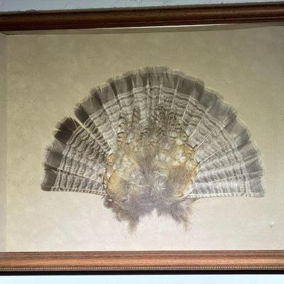 (4) Turkey Tails
