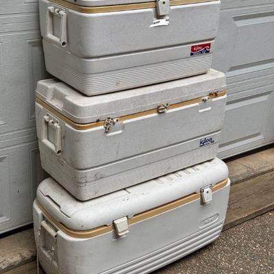 (3) Igloo Coolers
