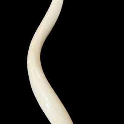 Bleached Kudu Horn on Lucite Base
