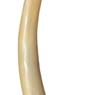 Mid Century Faux Elephant Tusk IMO MAITLAND SMITH