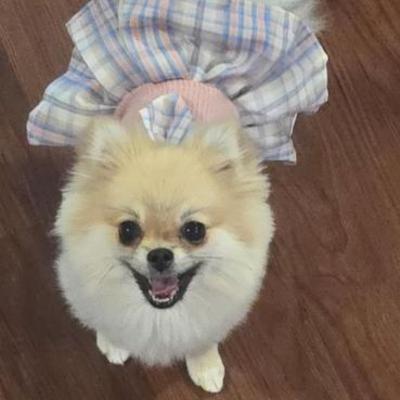 "Kimber" asking you to come shop the sale!