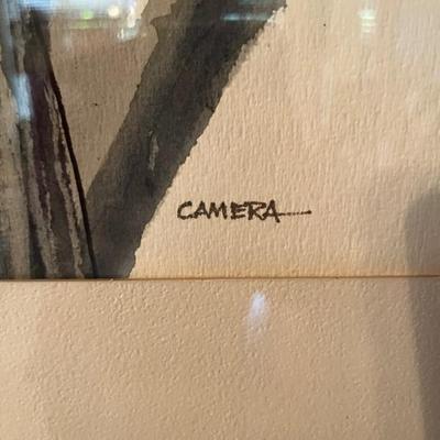 BY CAMERA
