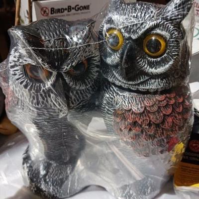Owls