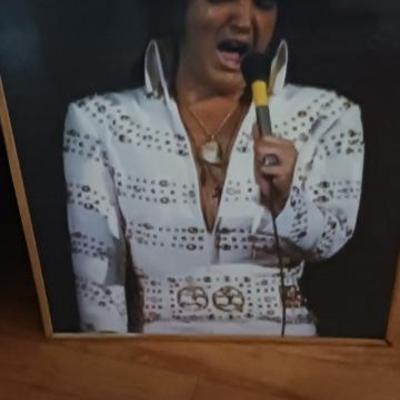 Elvis