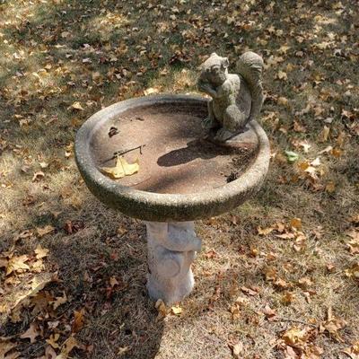 Bird Bath 