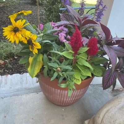 Estate Sales By Olga in Martinsville, NJ