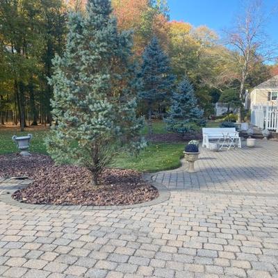 Estate Sales By Olga in Martinsville, NJ