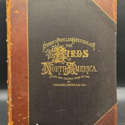 Studer’s Popular Ornithology: The Birds Of North America

