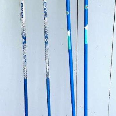 Two (2) Pairs of Ski Hiking Poles
