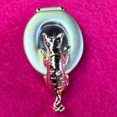 Cat in the Mirror Pin
