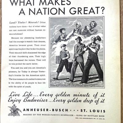 Anheuser-Busch Advertisement
