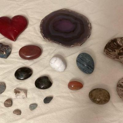 MMB167 Fossils & Rocks