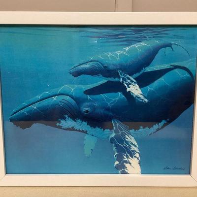 MMB096 Framed Picture Of A Humpback Whale With Her Baby