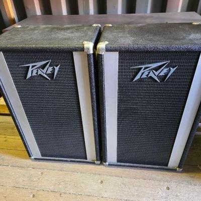 #10550 • 2 Peavey Speakers
