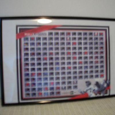 Framed MiLB Baseball Cap Poster