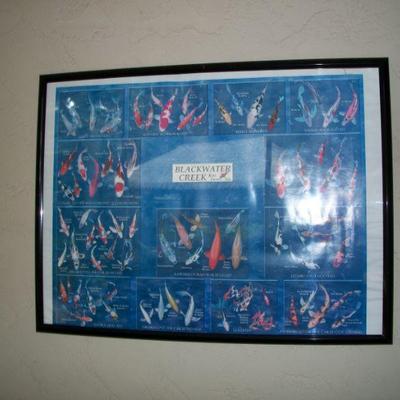 Koi Fish Poster
