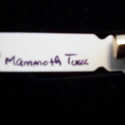 Close up of Tag
