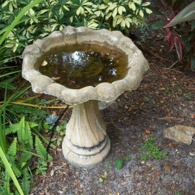Bird bath