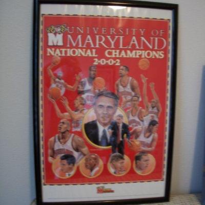 Framed Poster