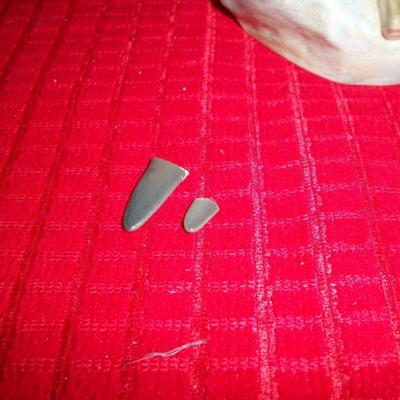 Pieces of wing tips