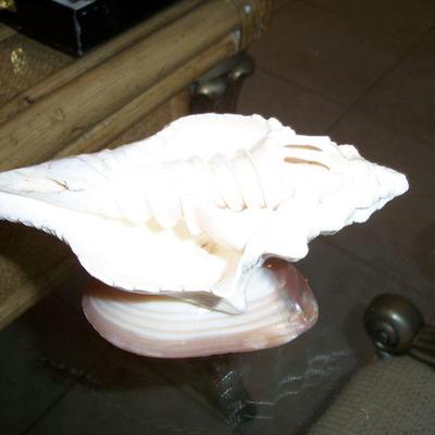 Shell