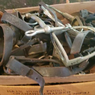 Horse tack
