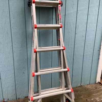 Little Giant Ladder