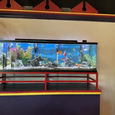 Aquarium 