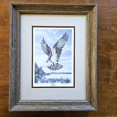 Double Signed Lithograph by Artist Robert Barg LE 171/250 "Osprey" Framed 14" x 17"