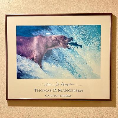 Thomas D. Mangelsen Bear Print - Catch of the Day Framed Art