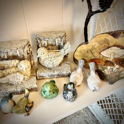 Bird collection