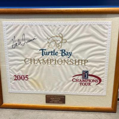 TII162- Framed Signed Hale Erwin 2005 Turtle By PGA Golf Championship 
