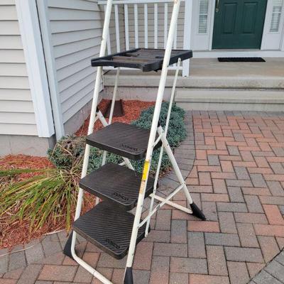 Cisco tall step ladder. $20
