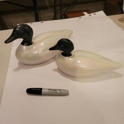 Ferlaro Italian Ducks