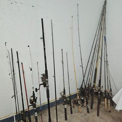 Fishing Poles and reels