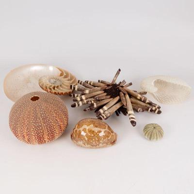 Come into our showroom October 4-6, 10am-5pm to purchase this item. 