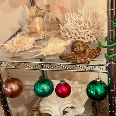 Seashells and coral