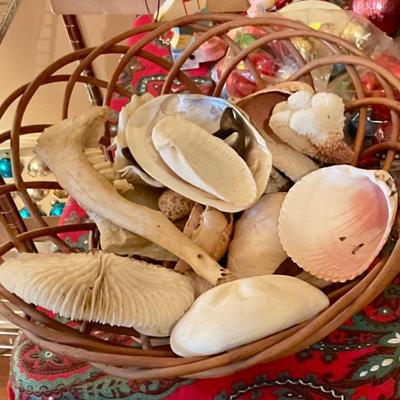 Sea shells