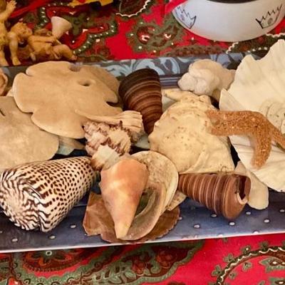 Shells