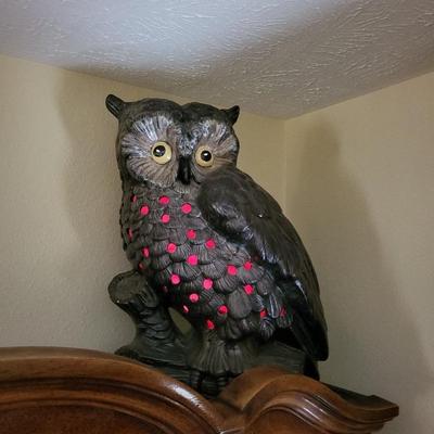 Flashing red lights  large owl