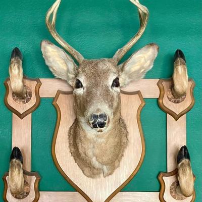Vintage Hand Made Taxidermy Deer Hat Rack